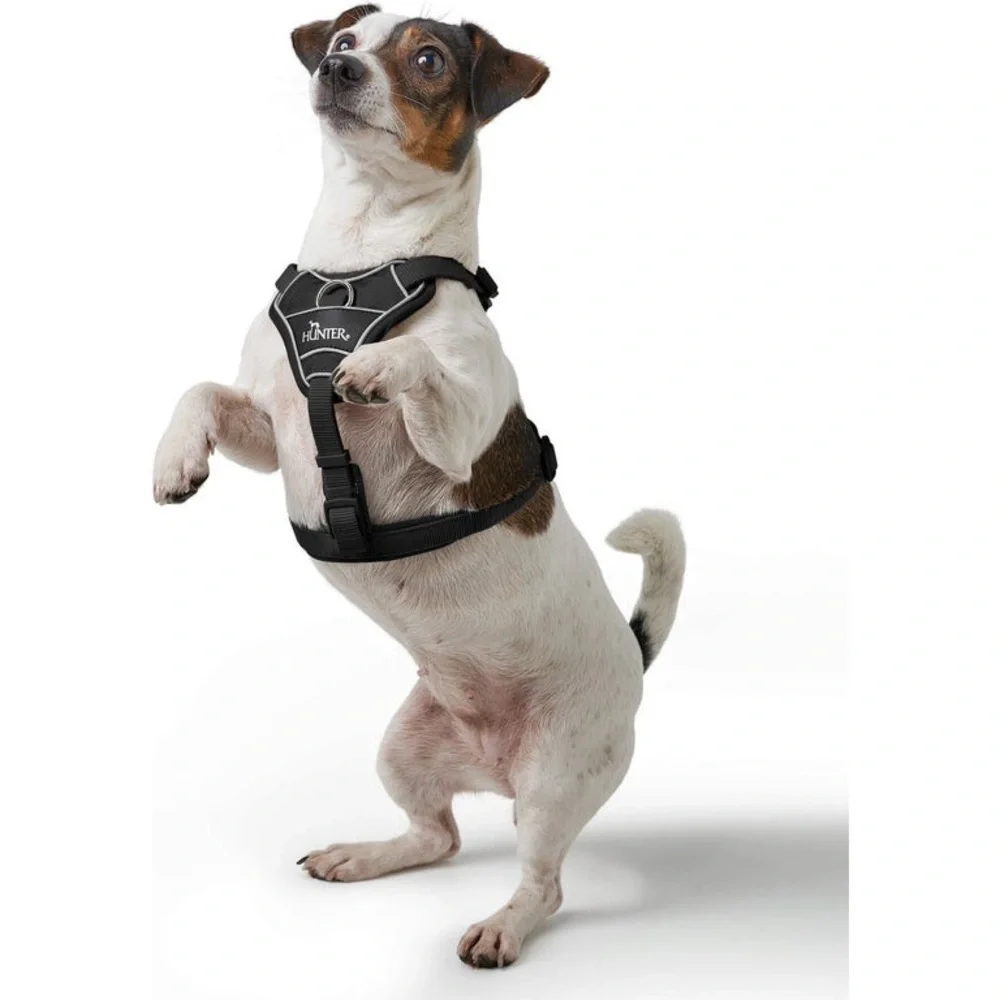 Hunter Divo Harness in Grey Size L (72-100 cm) Chest Circumference